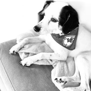 Meet your Posher, Sara